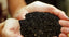 Black Seed Oil | Secrets of Ancient Kings through one oil