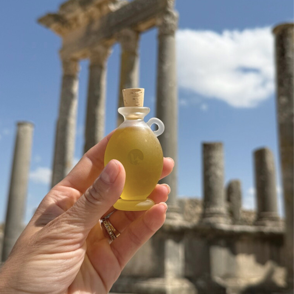 Barie | Prickly Pear Cactus Seed Oil