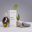 Oil & Masque Clearance Sale