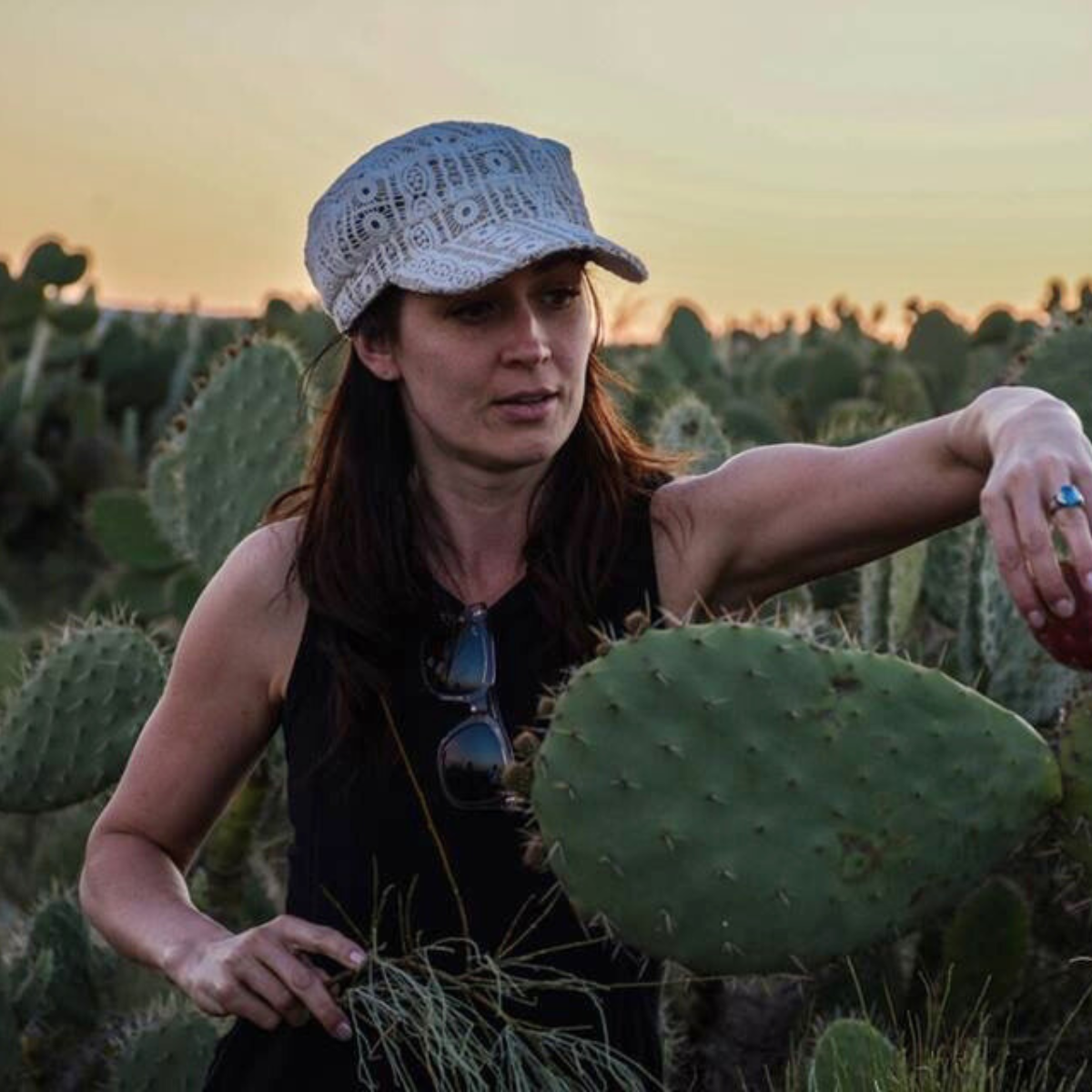 Barie | Prickly Pear Cactus Seed Oil