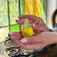 Woman's hands holding Katari Barie — Prickly Pear Cactus Seed Oil amphora in front of a stained glass window with vintage decor.