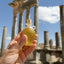 Hand holding Katari Barie — Prickly Pear Cactus Seed Oil in a glass amphora with ancient ruins in the background.