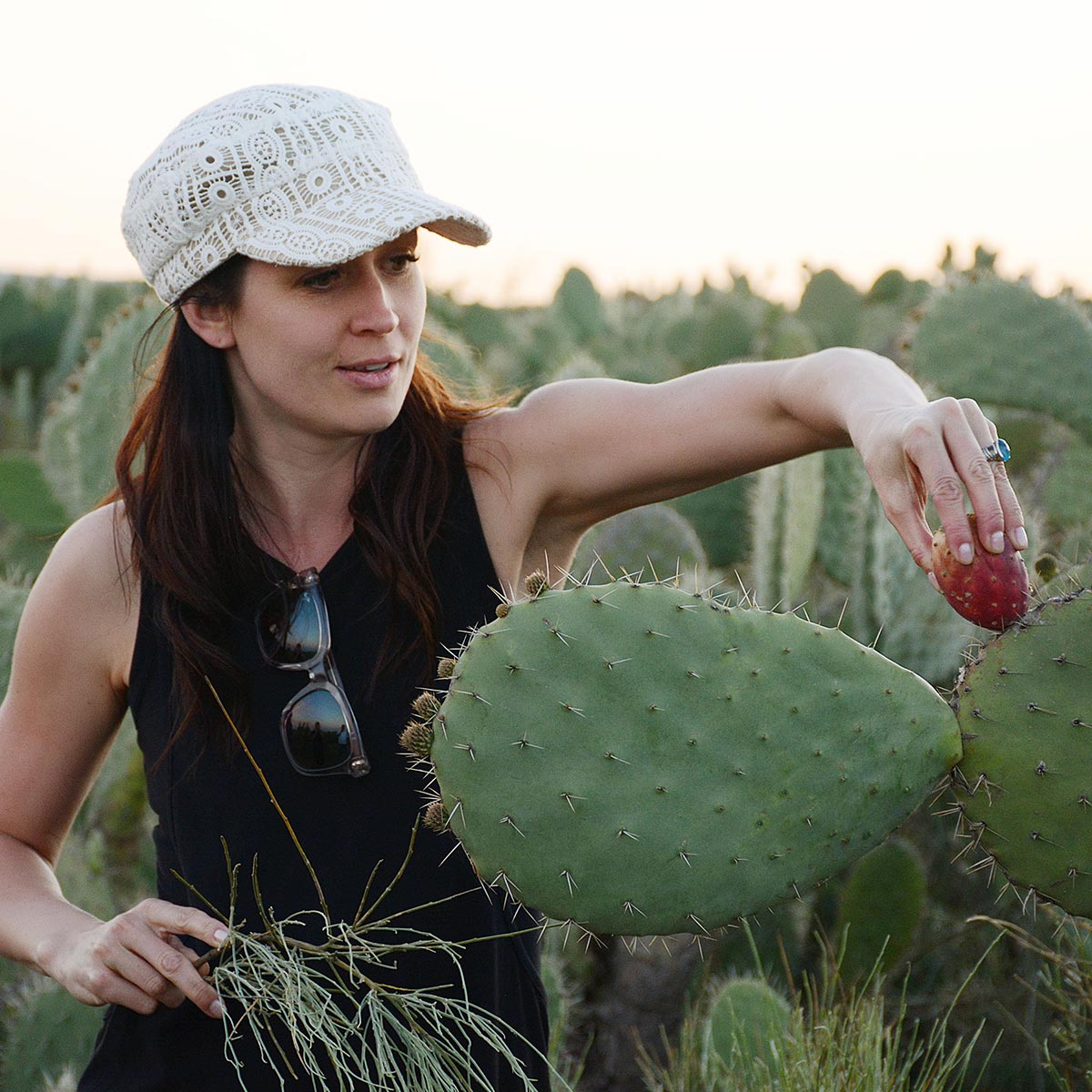 Woman harvesting fresh prickly pear fruit from a cactus for Katari Barie pure cactus seed oil.