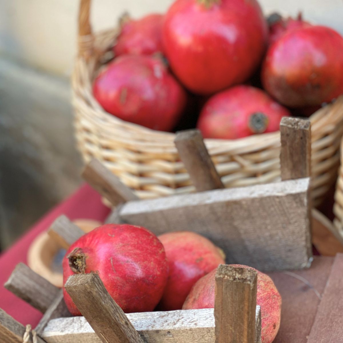 Granate | Pomegranate Seed Oil