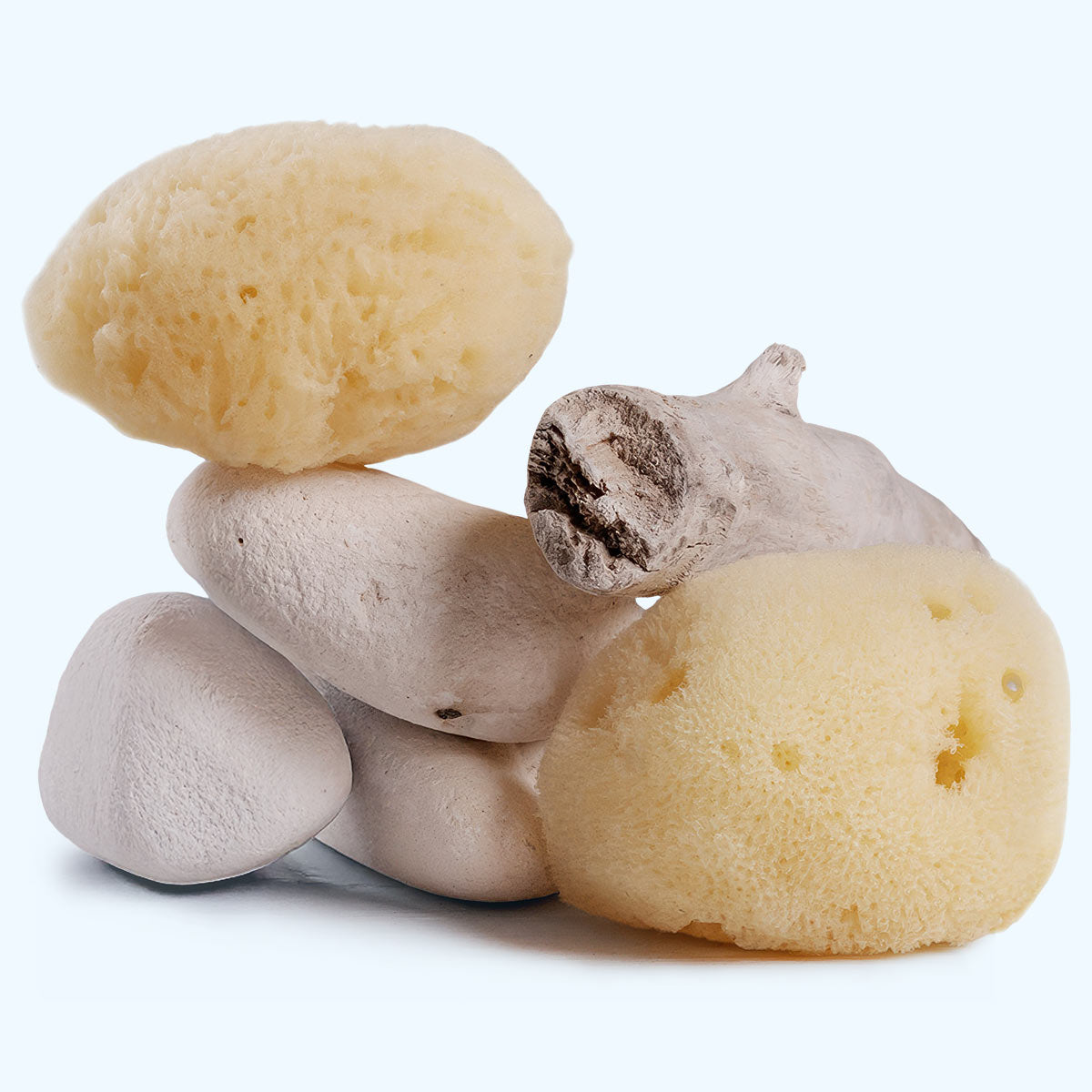 Cleansing Sea Sponge