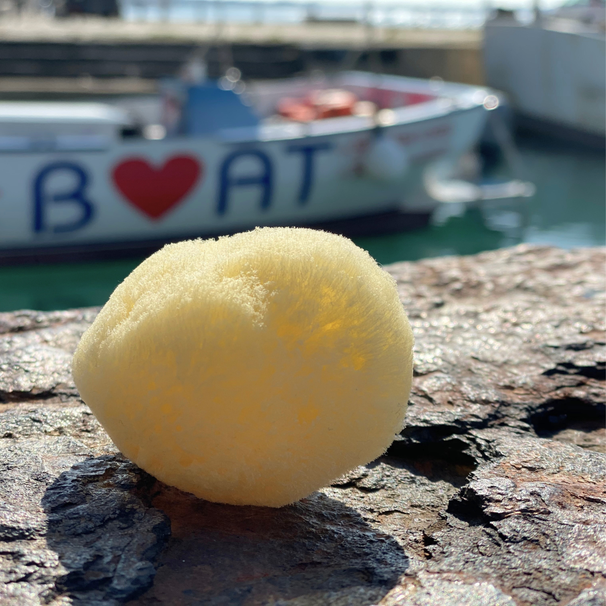 Cleansing Sea Sponge