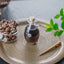 Black Castor Oil for Hair & Brows