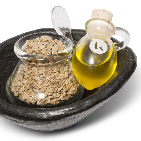 Amphora of prickly pear cactus seed oil with seeds