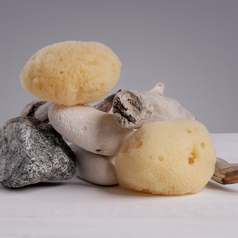 Sea Sponge for cleansing & exfoliating skin | sizes & shapes vary ~ 2-3
